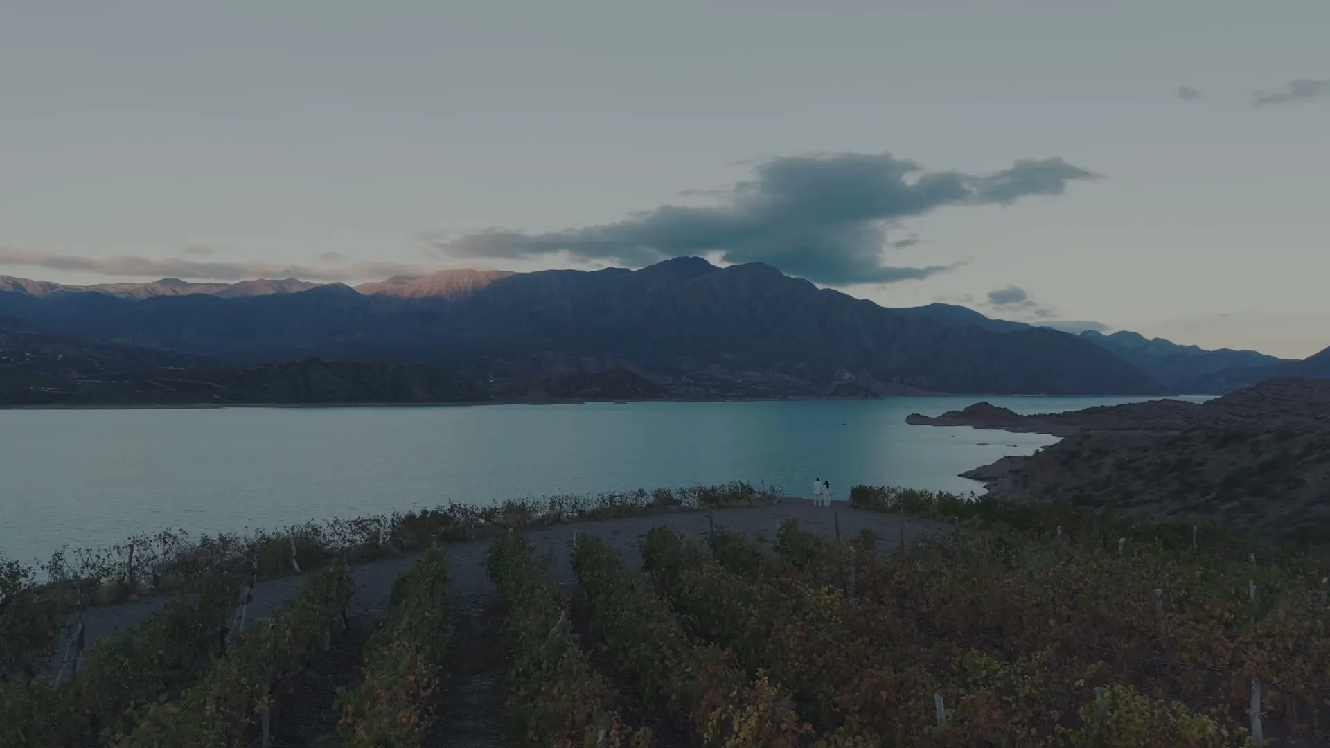 Mendoza: cordillera, viñedos y desarrollos residenciales