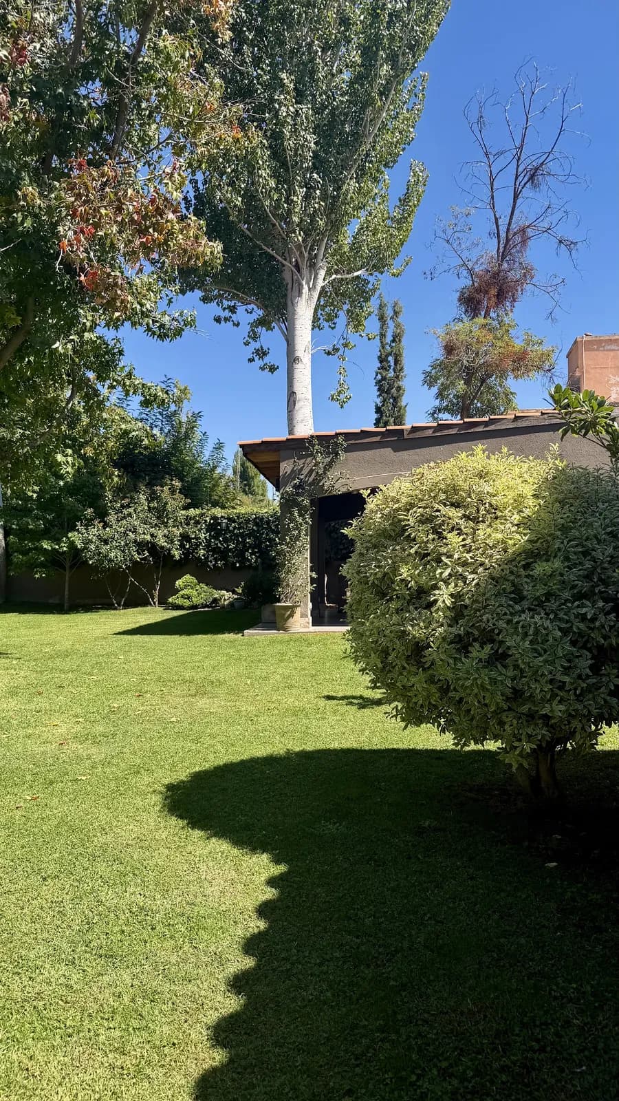 Casa 3 dorm. + departamento independiente en Chacras de Coria — foto 4