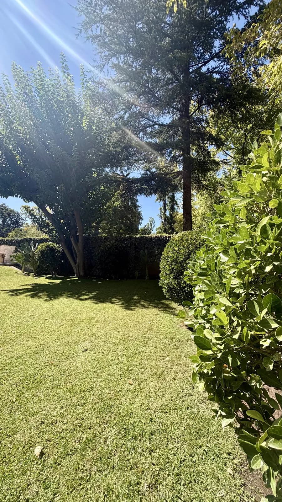 Casa 3 dorm. + departamento independiente en Chacras de Coria — foto 8