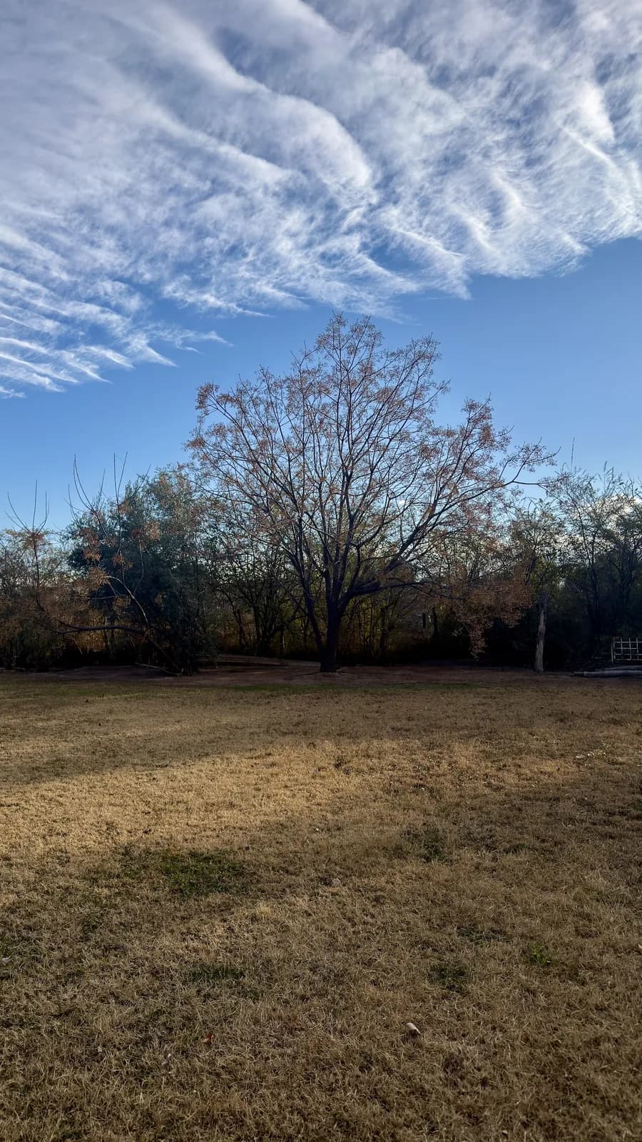 Lote 800 m² en Portal de la Cordillera — Chacras de Coria — foto 8