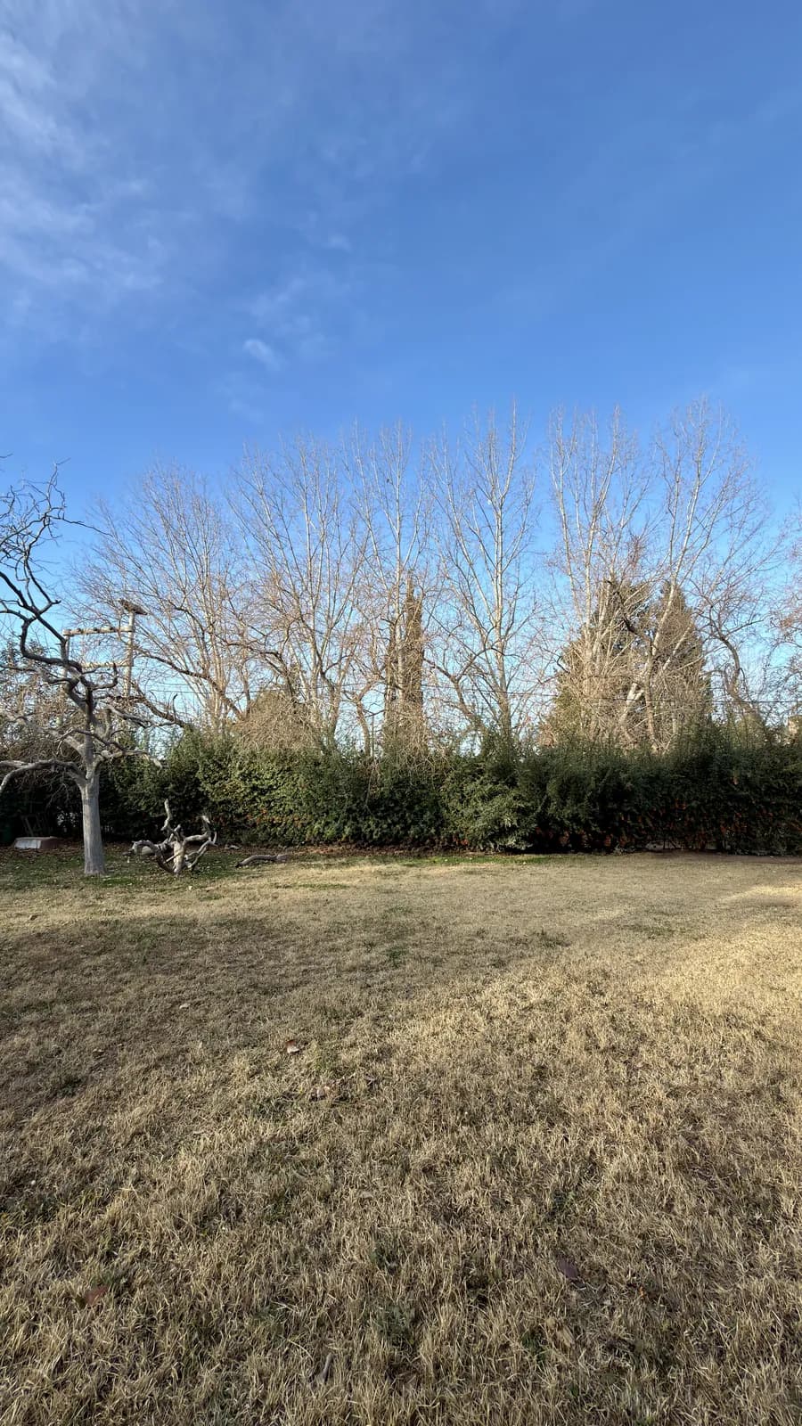 Lote 800 m² en Portal de la Cordillera — Chacras de Coria — foto 3