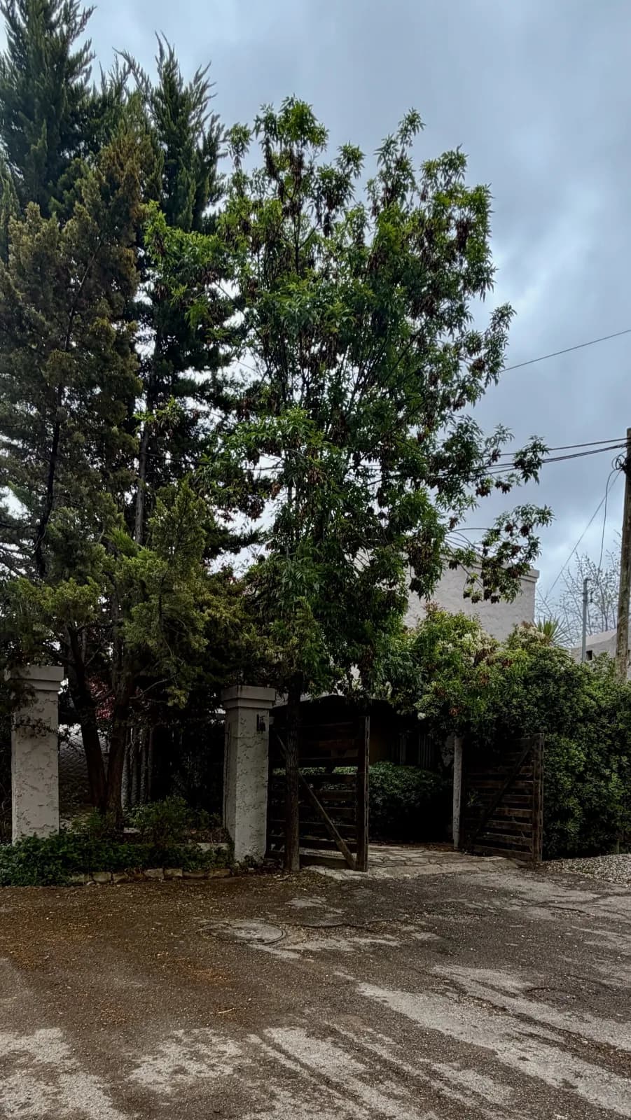 Casa 2 dorm. + 1 estudio - Chacras de Coria, jardín parquizado y pileta — foto 2